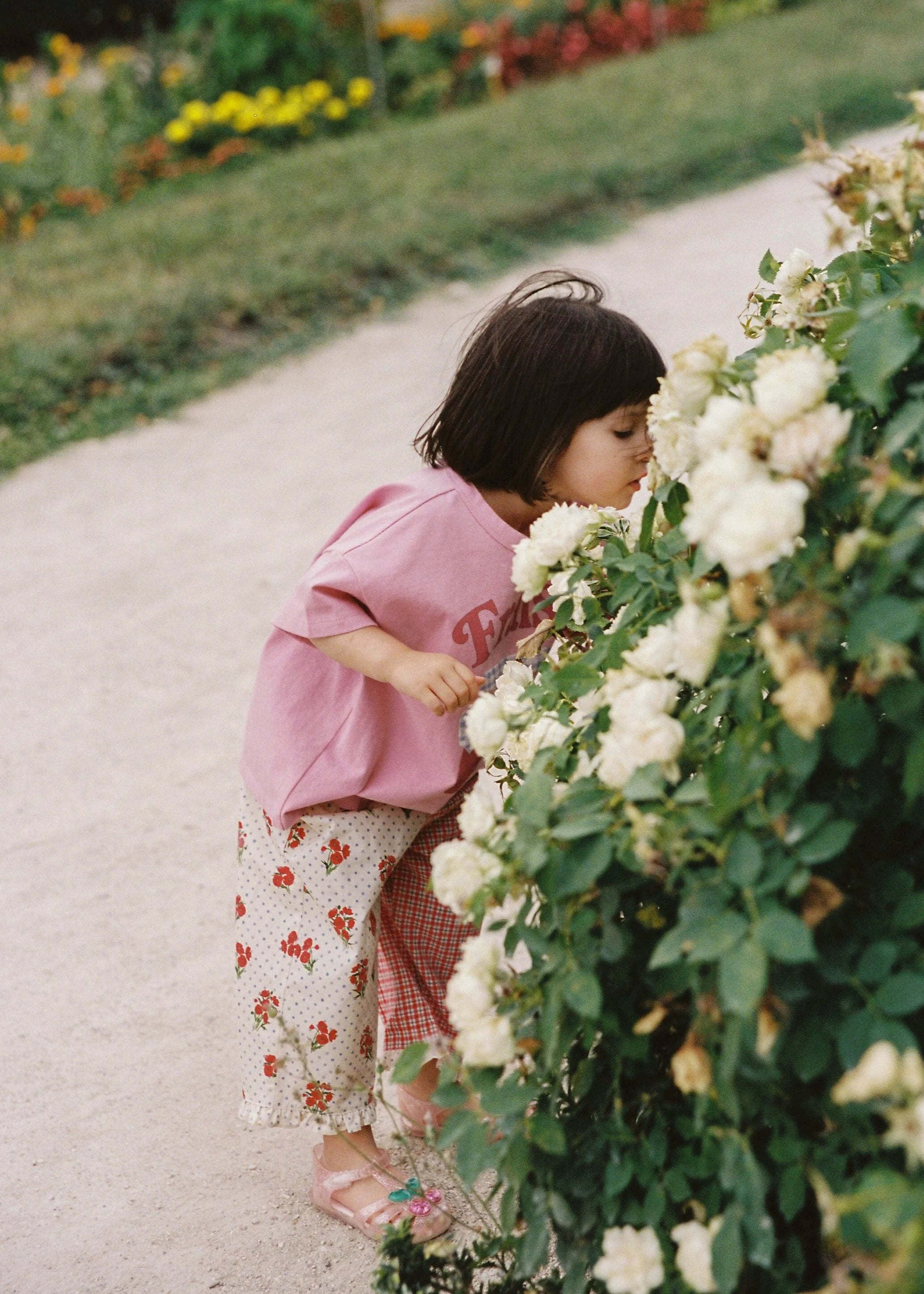 JUNI JNR - JNR Fraise Tee