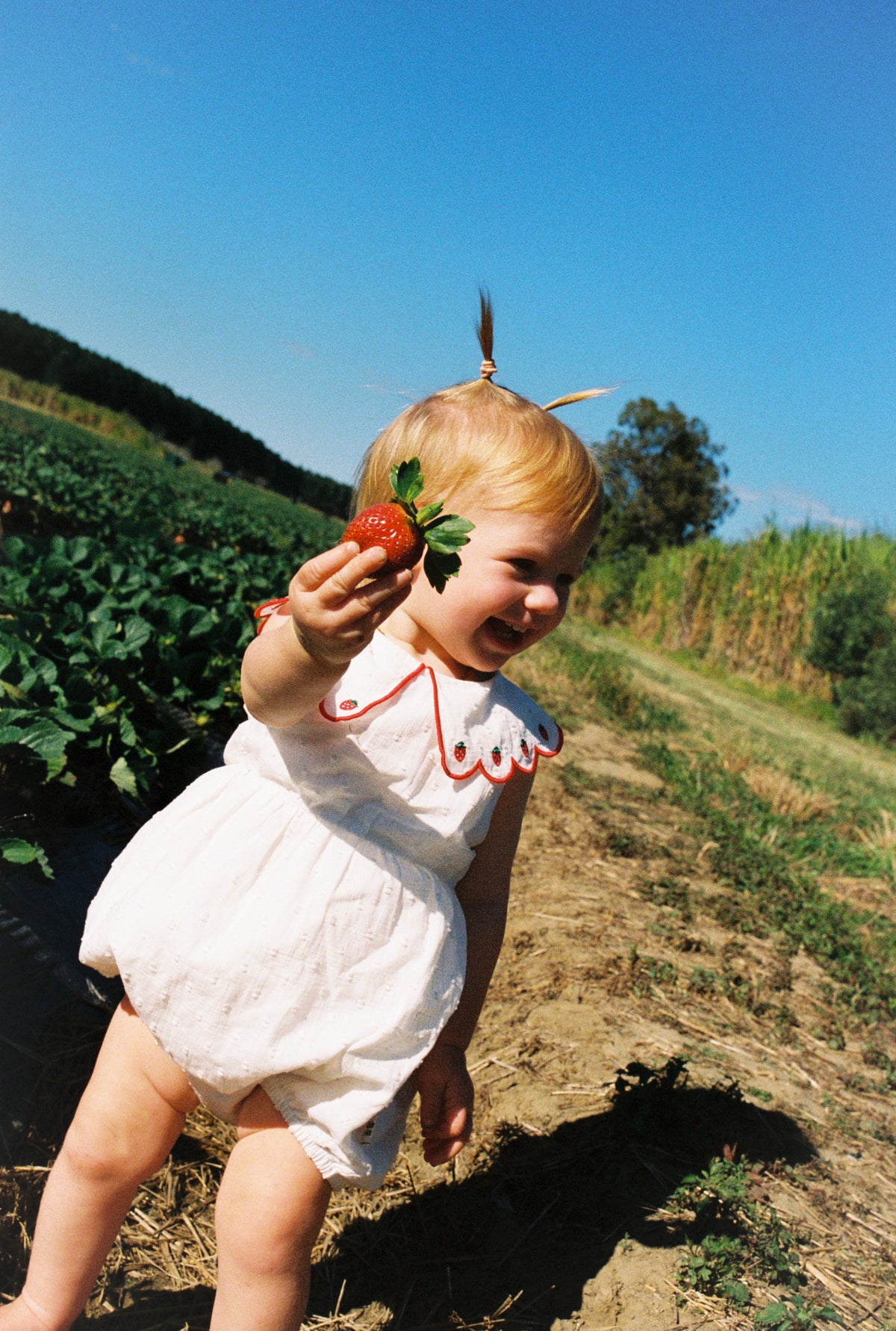 Goldie + Ace - Scallop Collar Strawberry Romper