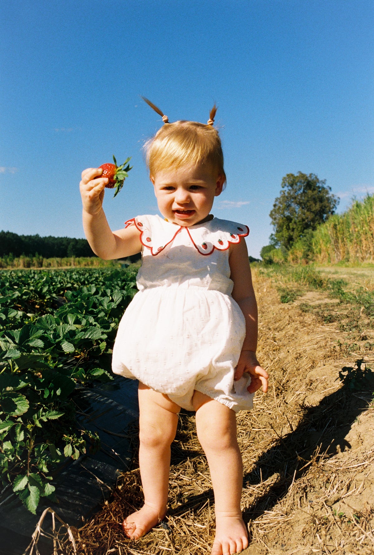 Goldie + Ace - Scallop Collar Strawberry Romper