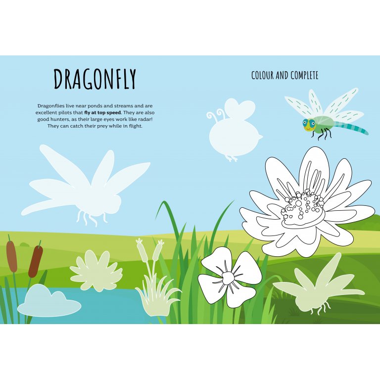 The SASSI Stickers and Activities Book The Garden features a pond scene with a colorful dragonfly, cattails, and flowers for children aged 3+. Some elements are outlined for coloring, with text describing dragonfly traits to inspire young artists to explore garden animals in vivid hues.