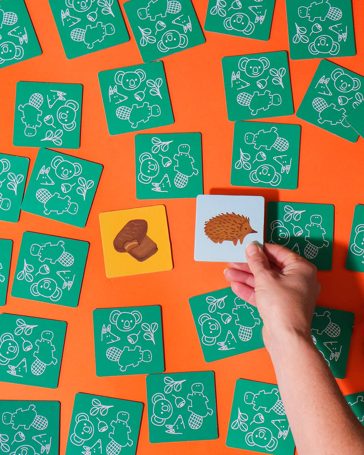Journey of Something - Kids Memory Game G'day Yay