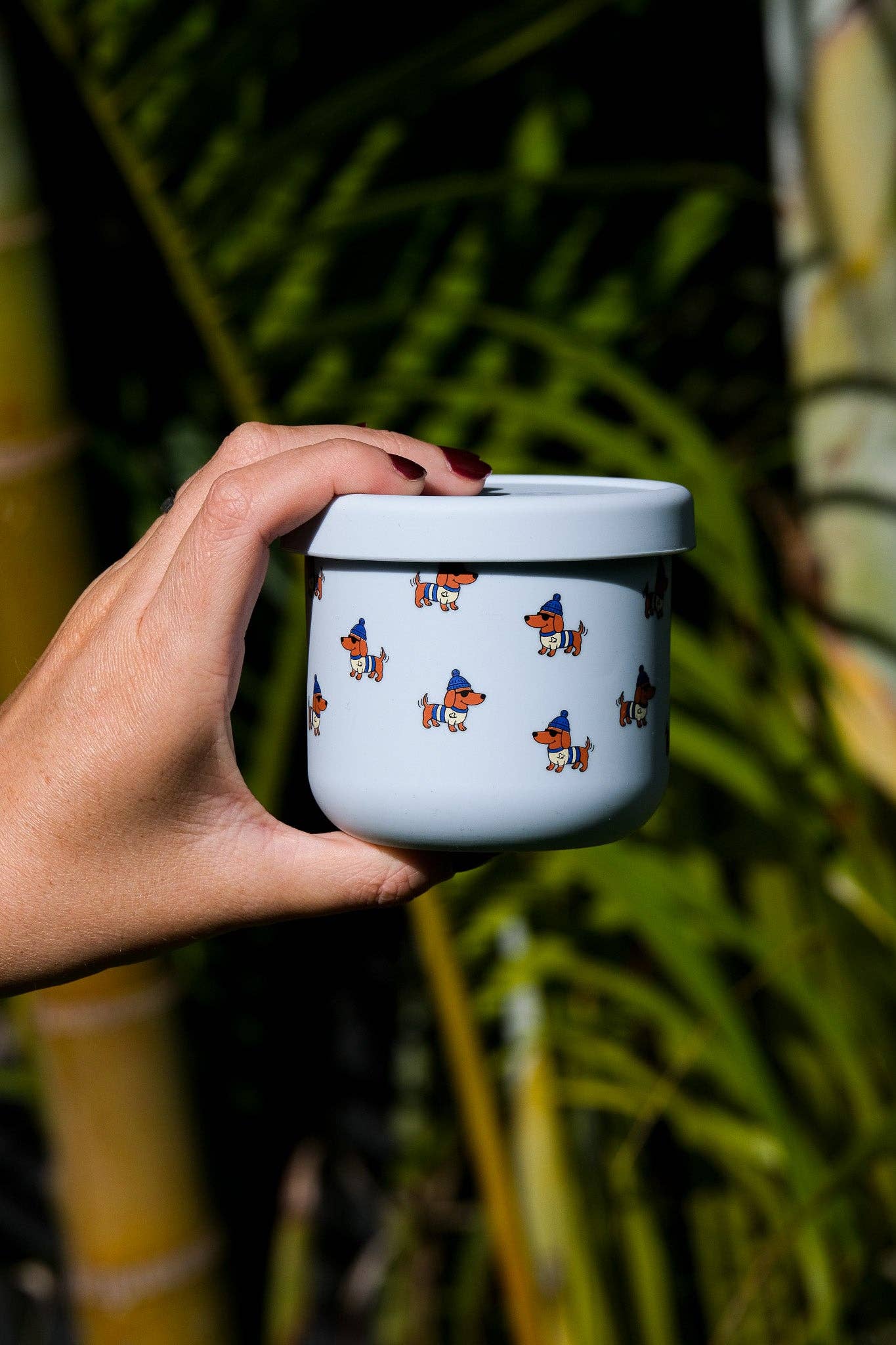 BBcino - Reusable Snack Pot 250ml Dagwood