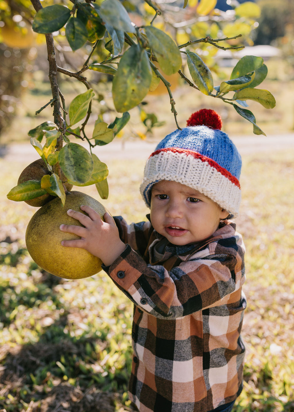 Acorn Kids - Teddy Beanie Blue & Red