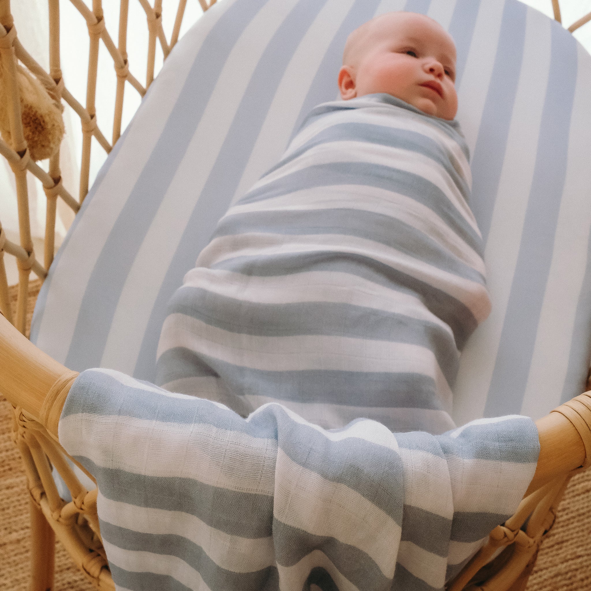 A baby lies on a matching striped cushion in a wicker chair, with the FOX & FALLOW - Cloud Stripe Organic Fitted Bassinet Sheet/Change Pad Cover draped over the chair’s edge.