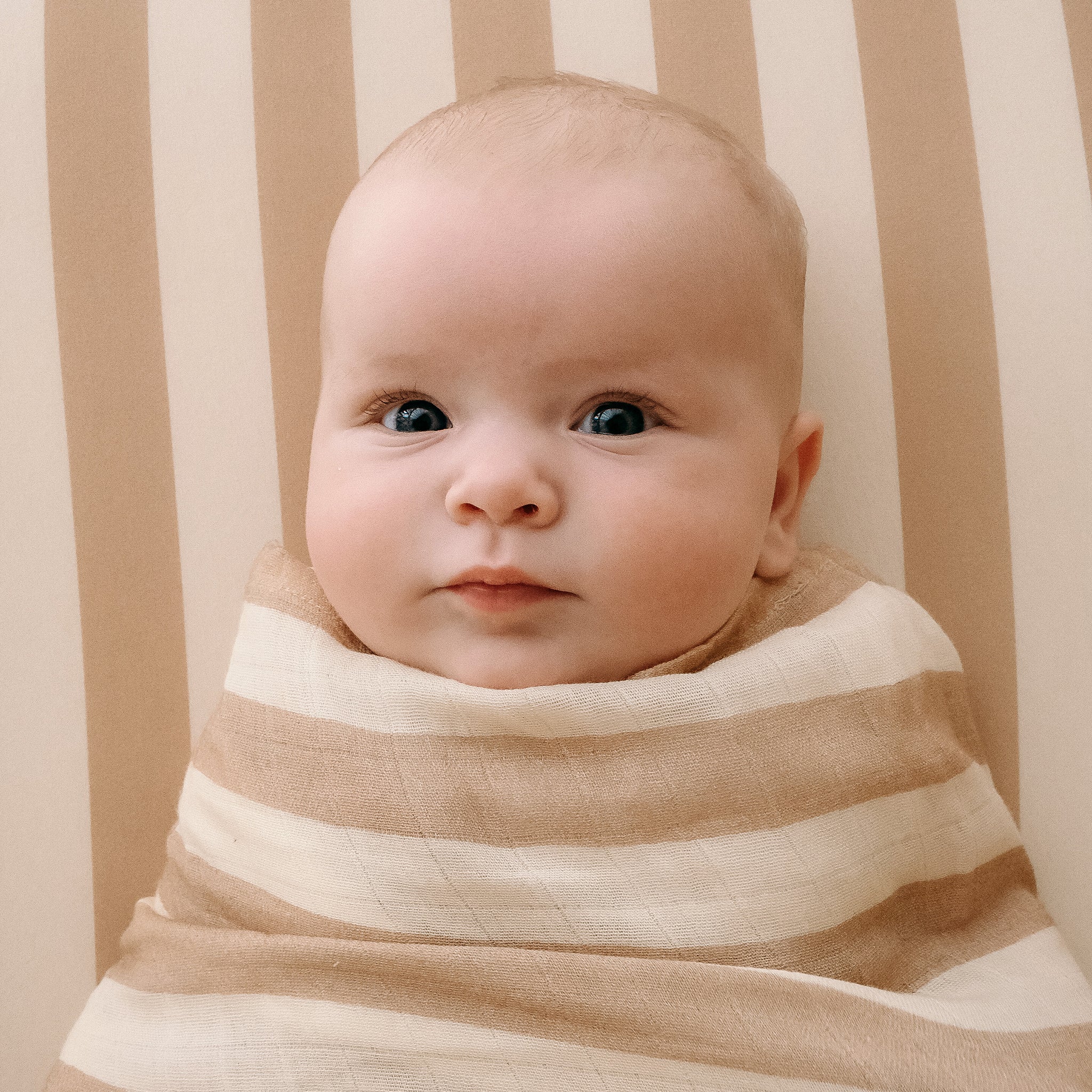 A baby with blue eyes lies on a FOX & FALLOW Coffee Stripe Organic Fitted Cot Sheet, wrapped in a matching beige and white striped blanket, gazing at the camera against a coordinated striped background.