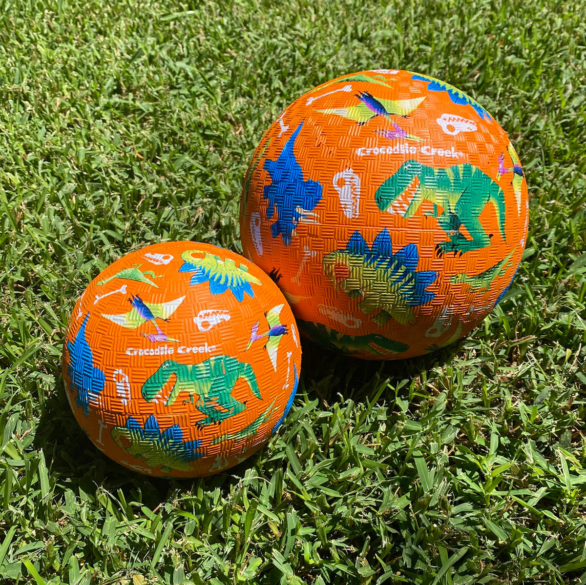 Crocodile Creek - 5 Inch Playground Ball Dinosaur Dig (Orange)