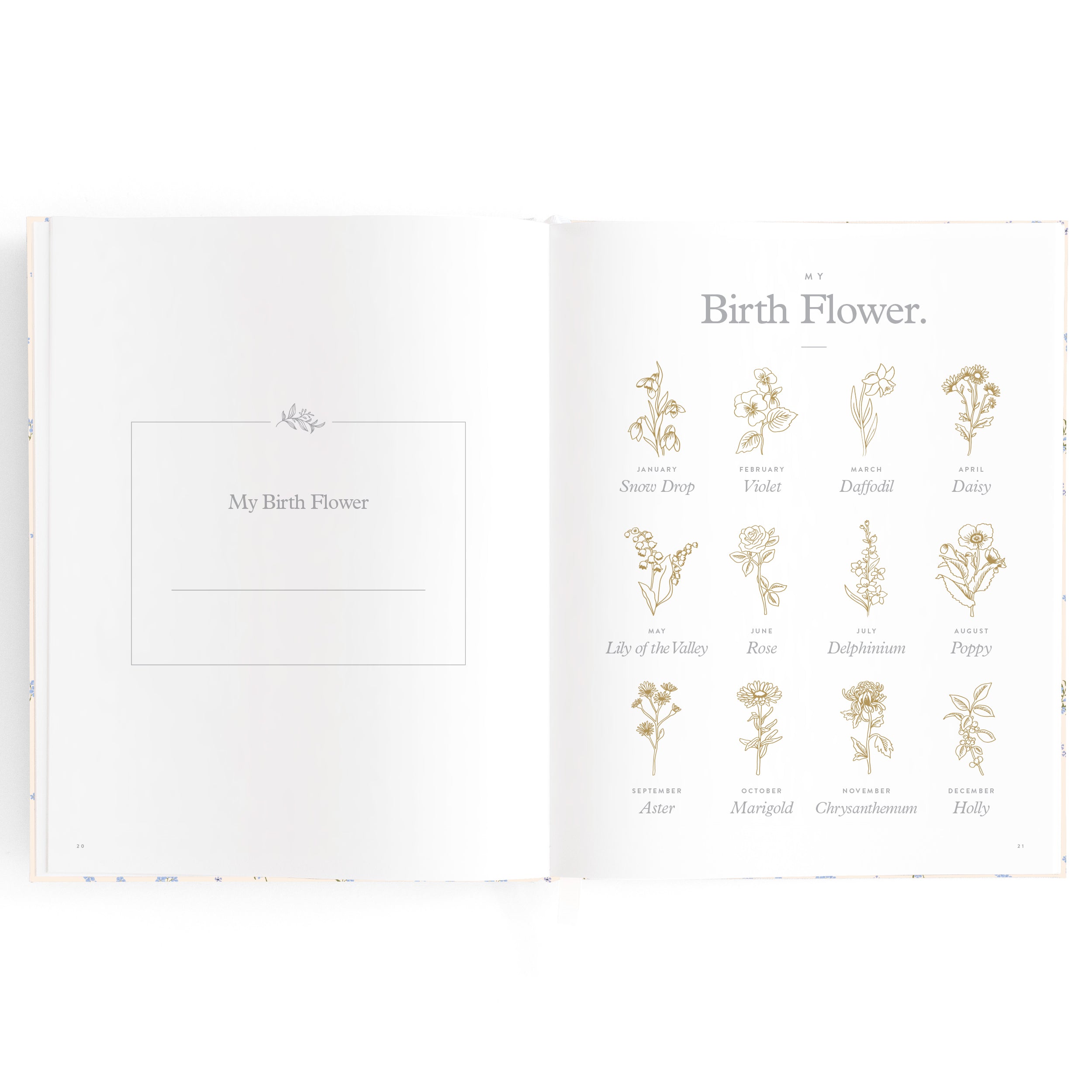 Fox & Fallow - Baby Book Forget-Me-Not