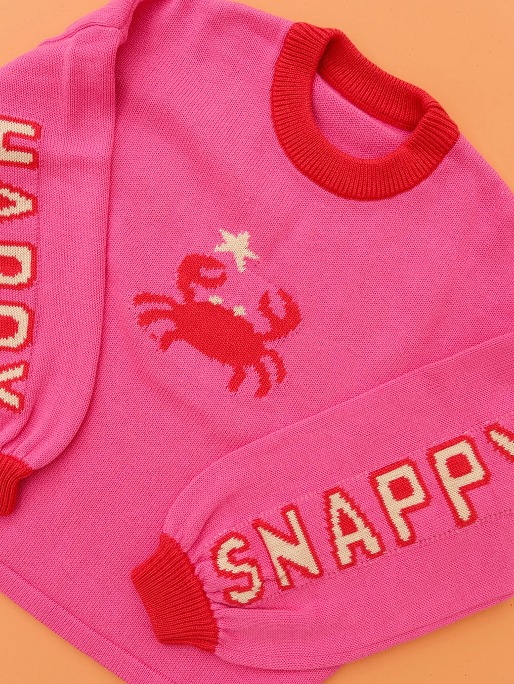 Small Swim Club - Snap Happy Jumper