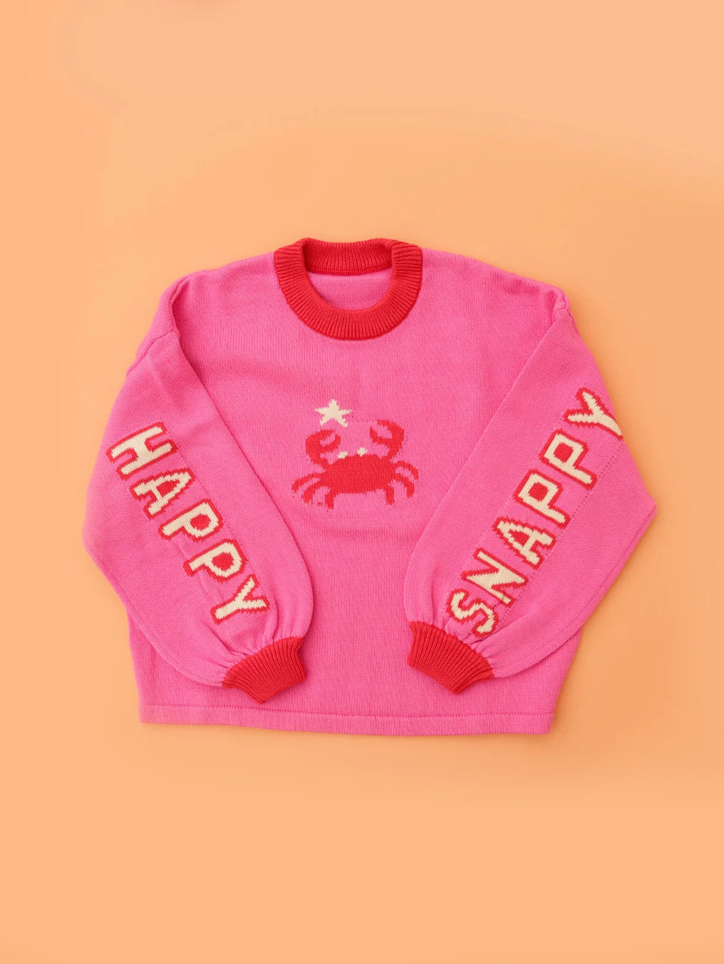 Small Swim Club - Snap Happy Jumper