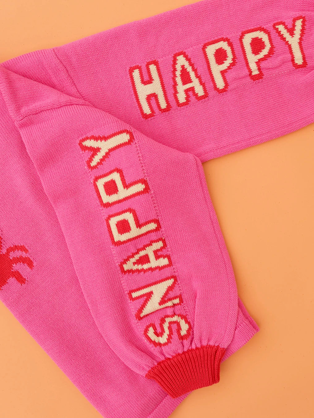 Small Swim Club - Snap Happy Jumper