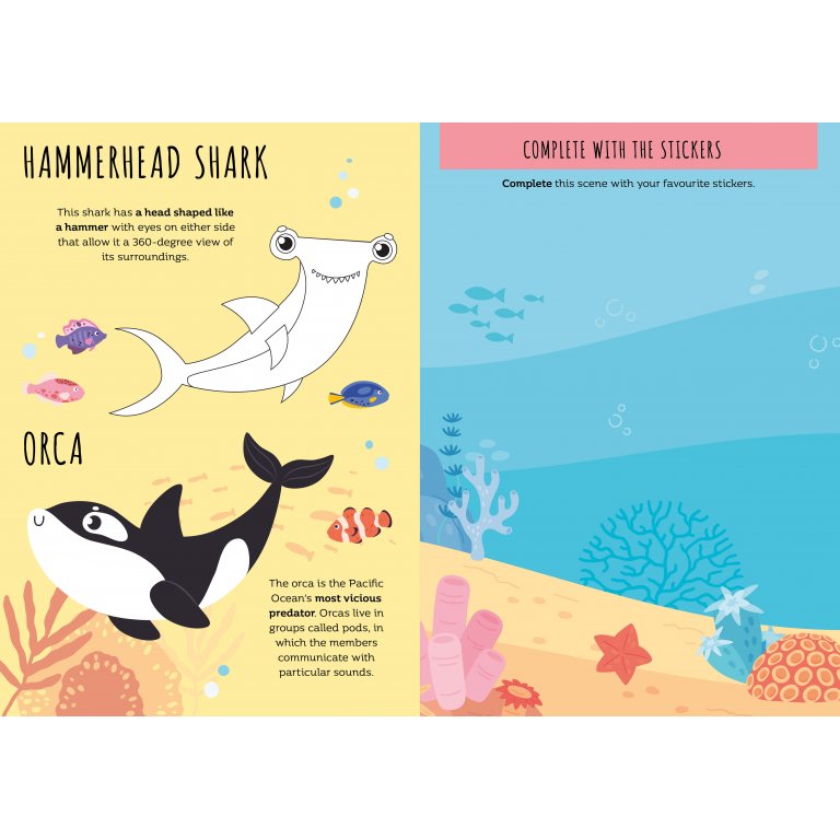Sassi - Stickers and Activities Book The Sea