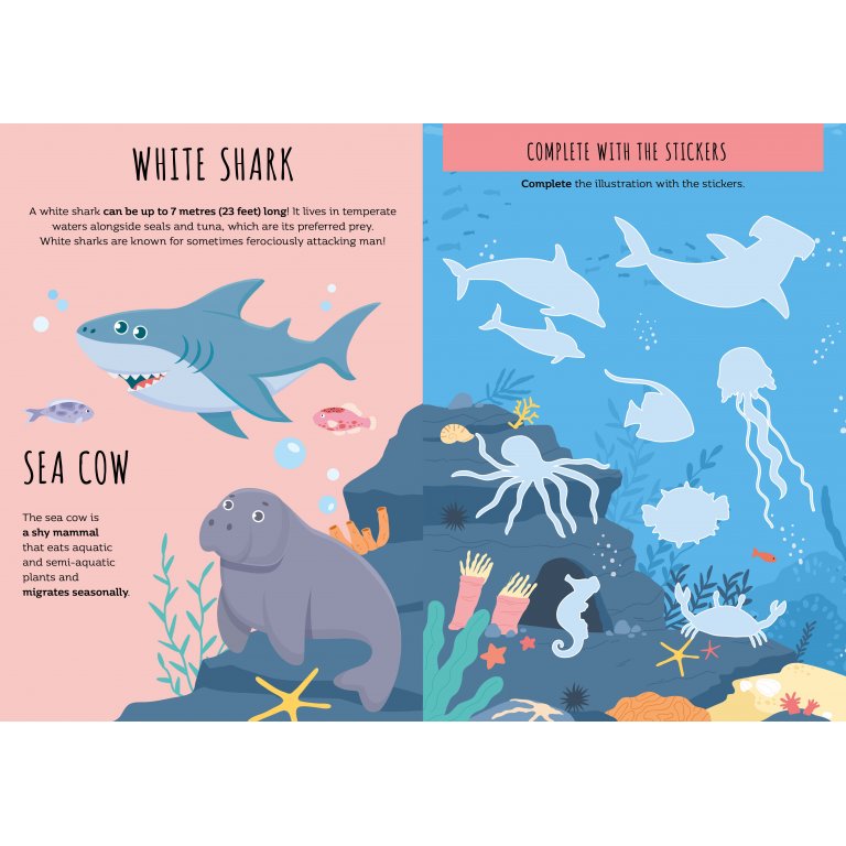 Sassi - Stickers and Activities Book The Sea