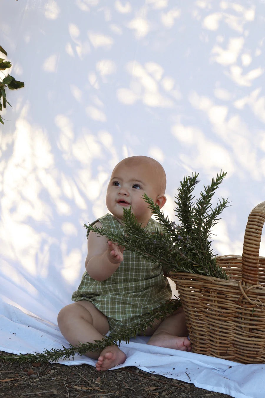 Ziggy Lou - Bobbie Romper Thyme