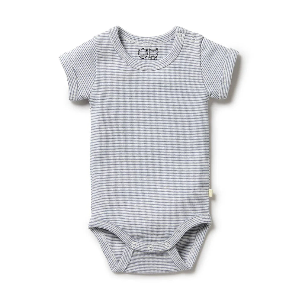 Wilson & Frenchy - Organic Stripe Rib Bodysuit Rain Drop