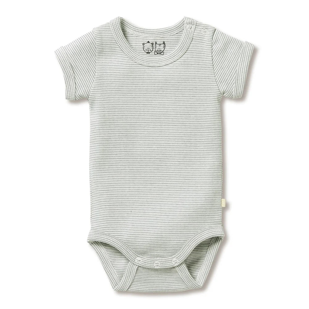 Wilson & Frenchy - Organic Stripe Rib Bodysuit Fern
