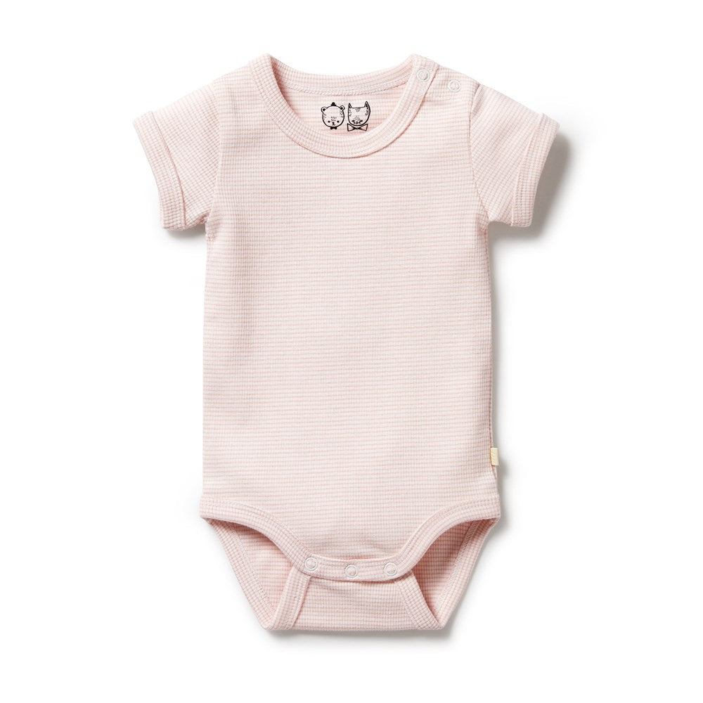 Wilson & Frenchy - Organic Stripe Rib Bodysuit Cantaloupe