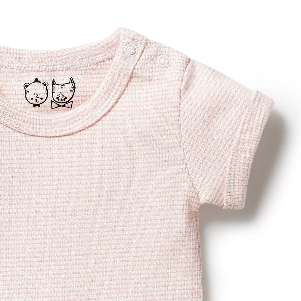 Wilson & Frenchy - Organic Stripe Rib Bodysuit Cantaloupe