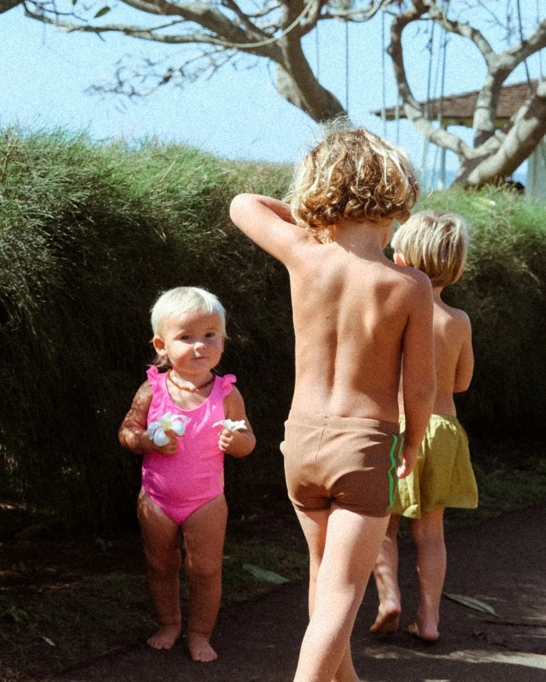 Ziggy Zaza - Kiki Swim Trunks Carob