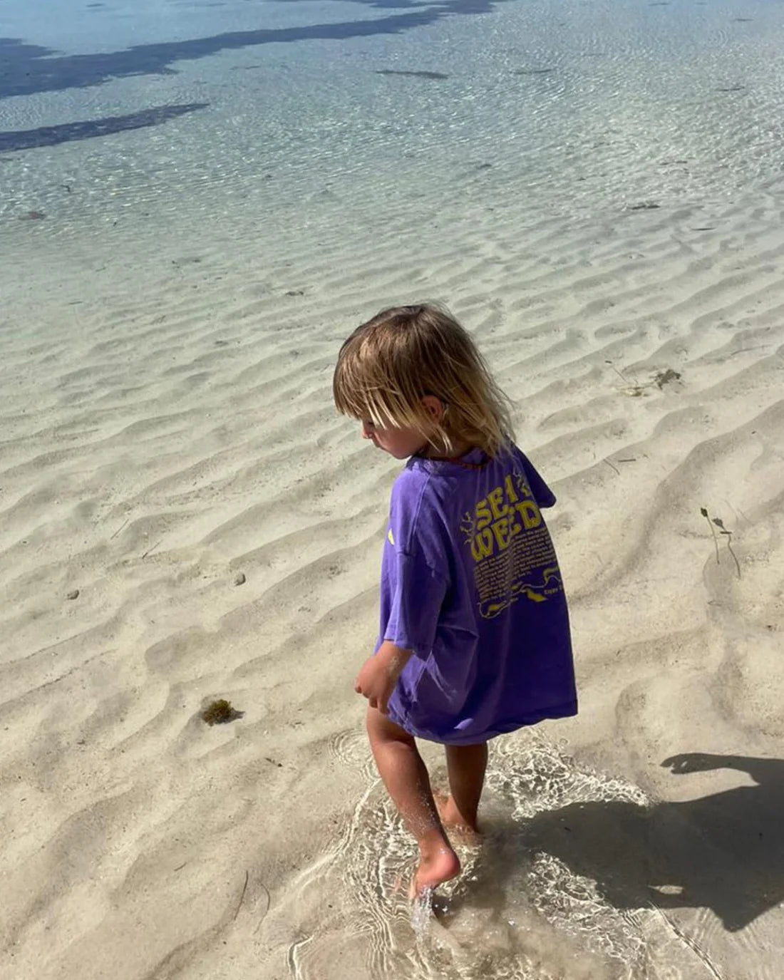 Ziggy Zaza - Seaweed Tee Violet