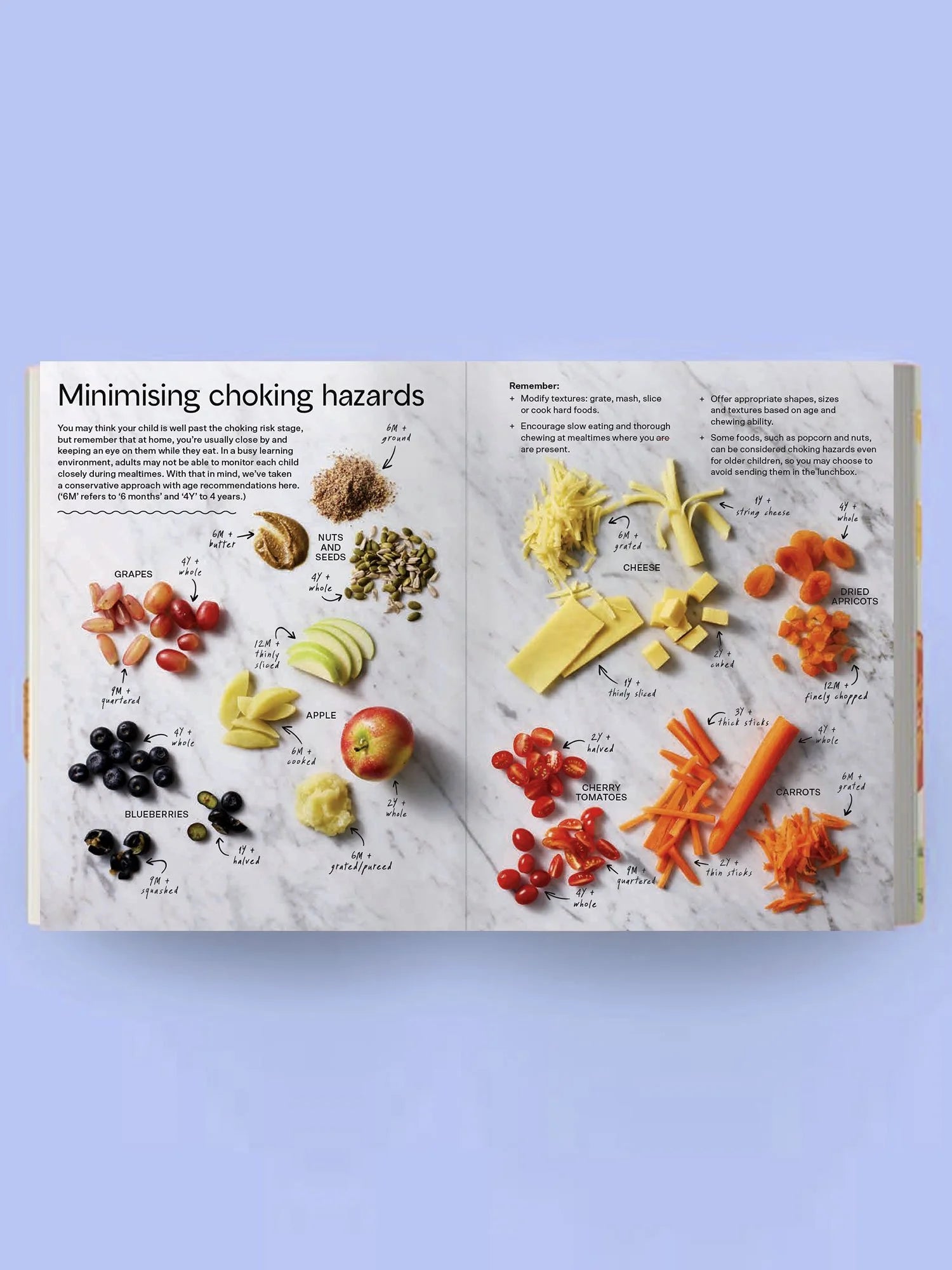 Lunchbox Bible
