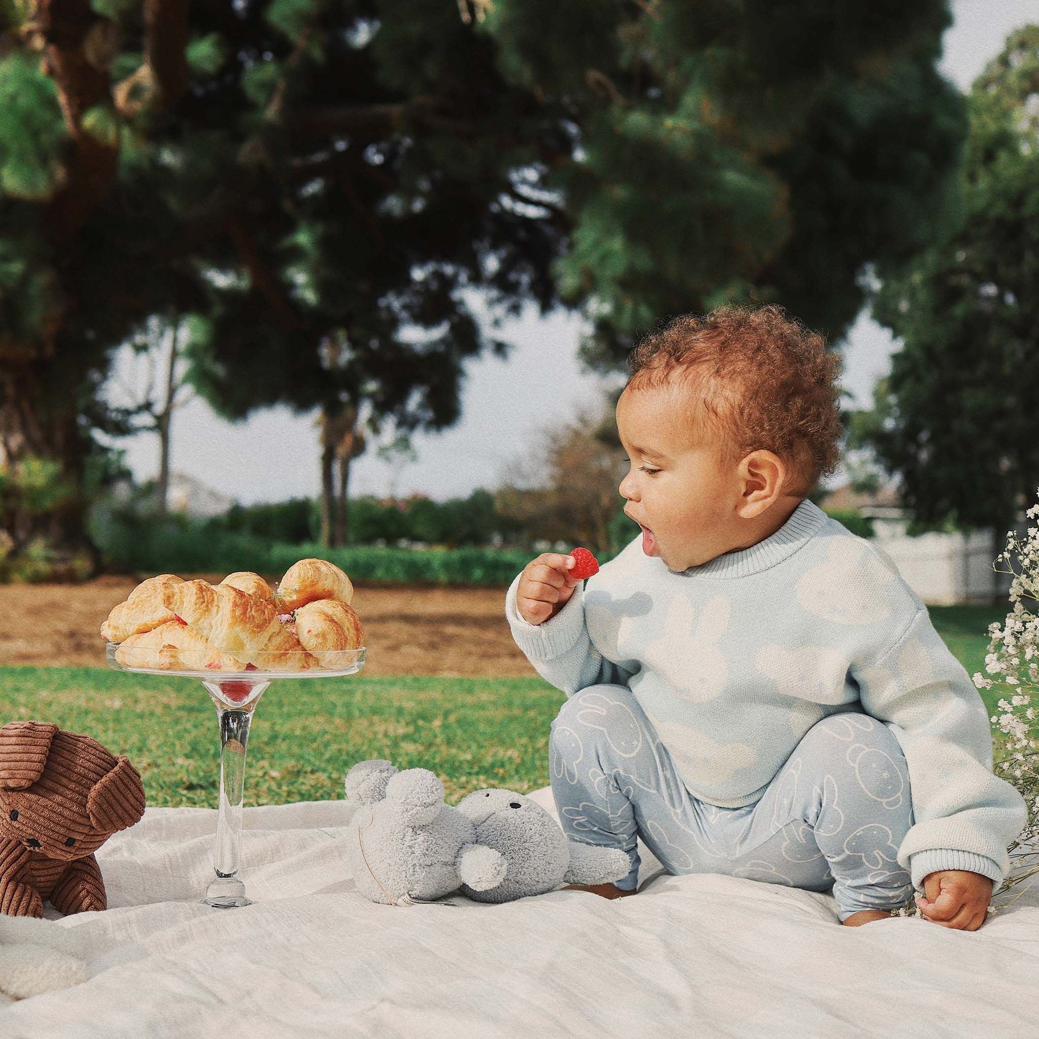 Kynd Baby - Miffy Jacquard Knit Jumper Baby Blue