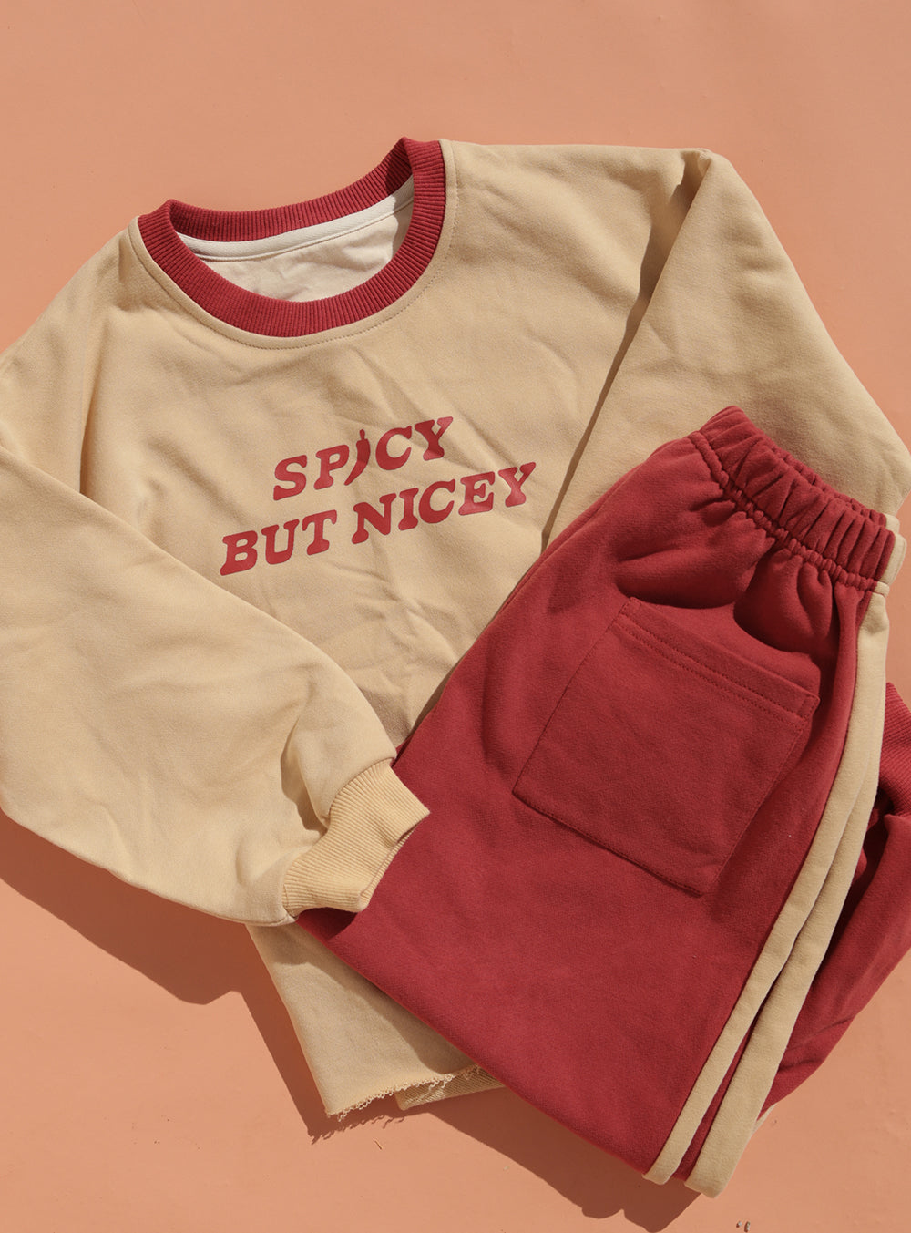 PRE-ORDER Small Swim Club - Spicy But Nicey Pullover