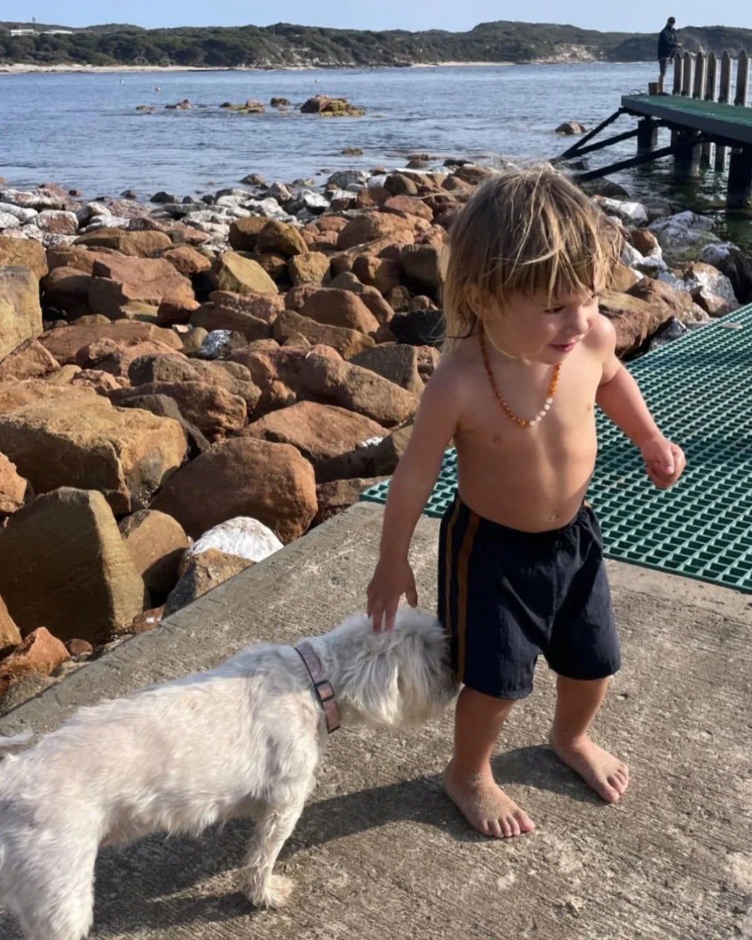 Ziggy Zaza - Twin Stripe Swim Short Midnight