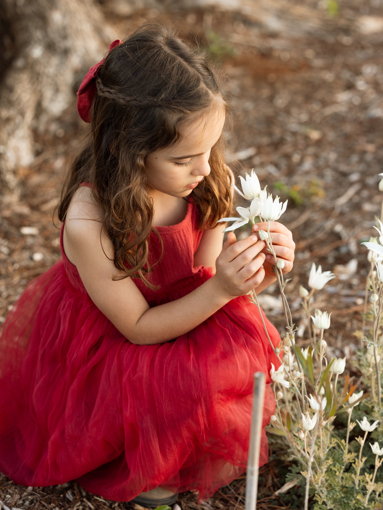 Valencia Byron Bay - Limited Edition Bangalow Tutu Christmas Red