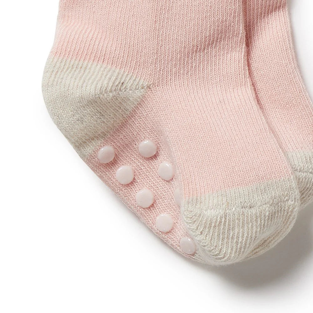 Wilson & Frenchy - 3 Pack Baby Socks Cantelope