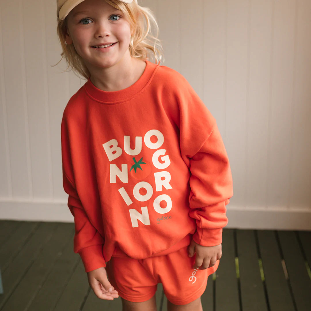A smiling child in a beige cap and relaxed fit GOLDEN CHILDREN Buongiorno Sweater Napoli, made from soft French terry fleece cotton, stands indoors on a green wooden floor.
