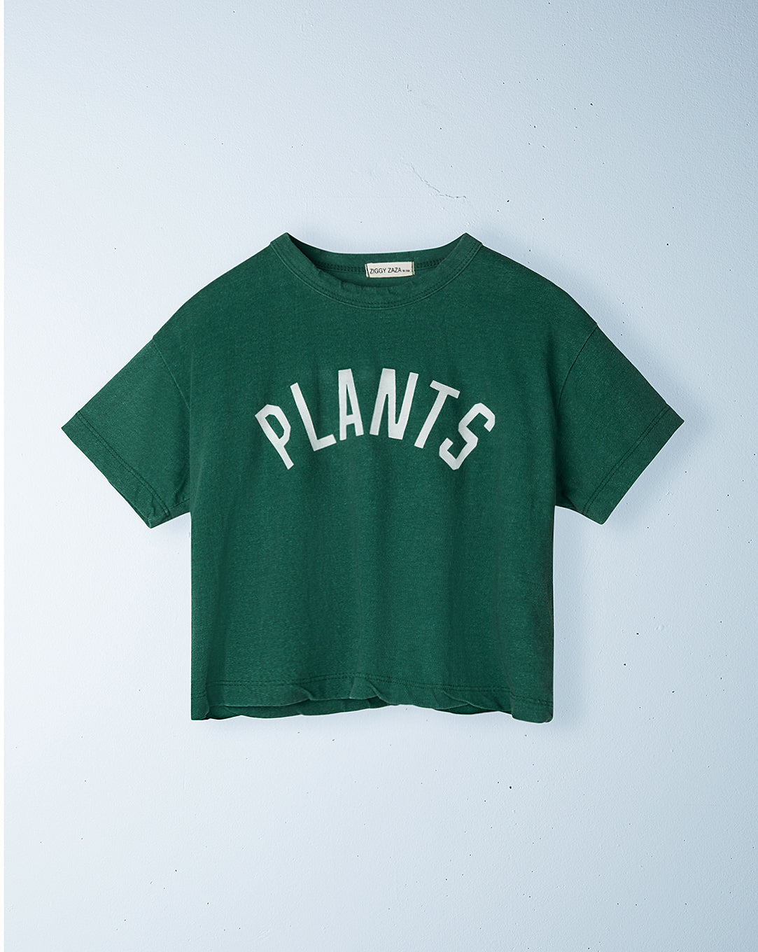 Ziggy Zaza Plants Tee in Kale Green