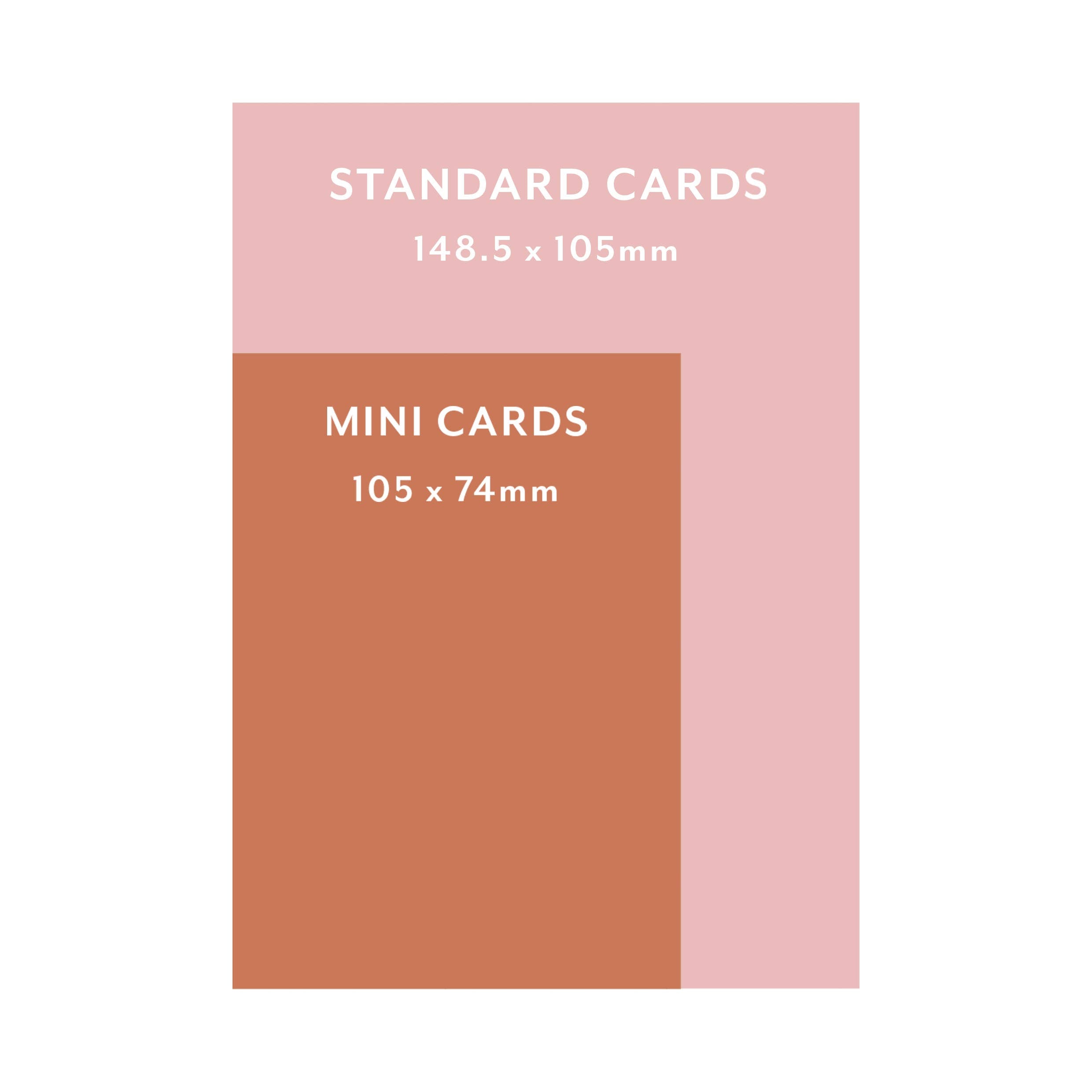 Here's a revised version of the sentence using the provided product data:
A visual comparison of card sizes: a larger pink rectangle labeled "Standard Cards 148.5 x 105mm" and a smaller orange rectangle labeled "Peace Love Joy Christmas Crackers Mini Card by LAUREN SISSONS STUDIO," crafted from recycled paper using sustainable production methods, overlapping it, measuring 105 x 74mm.