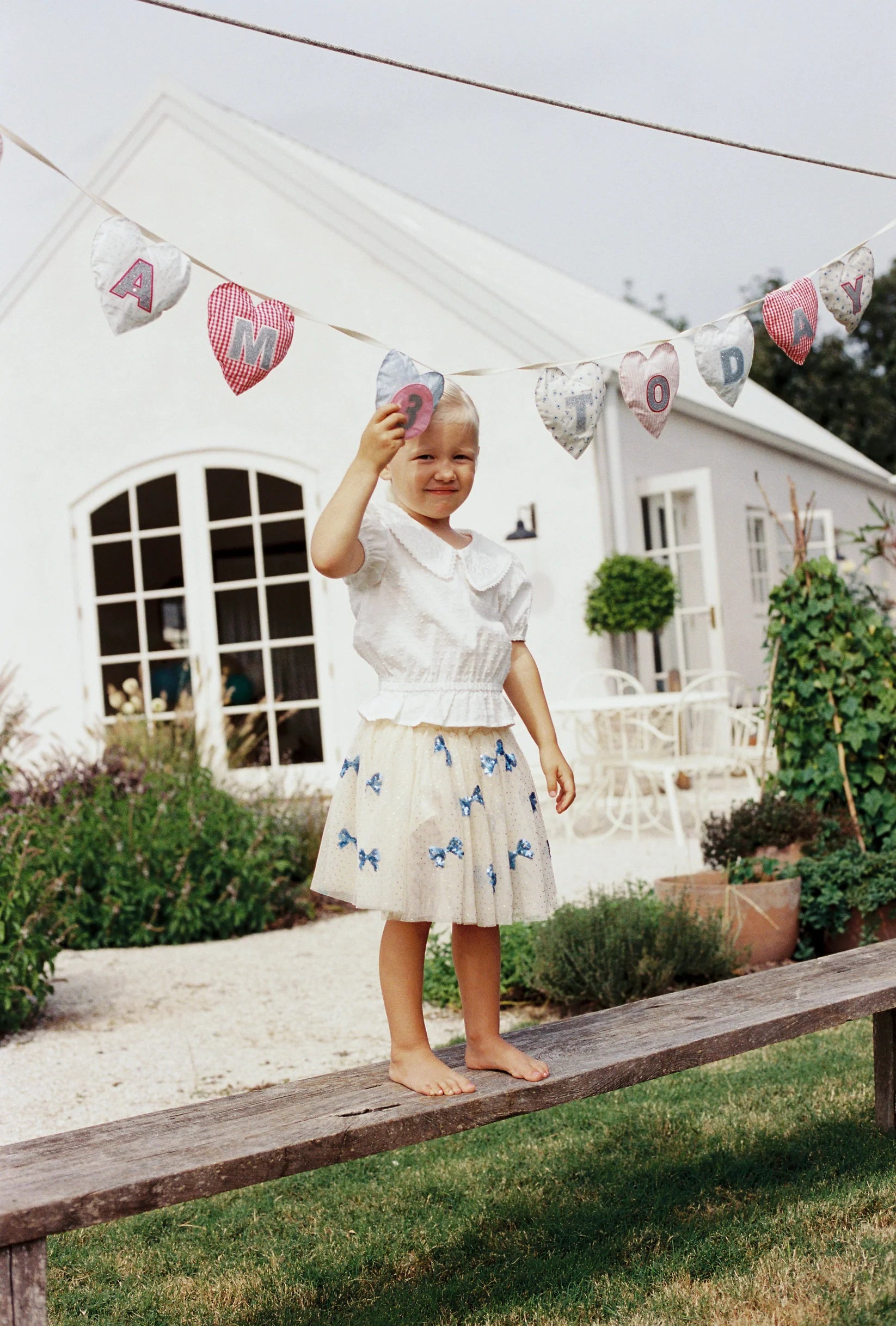 The Wholesome Store - Birthday Banner Hearts