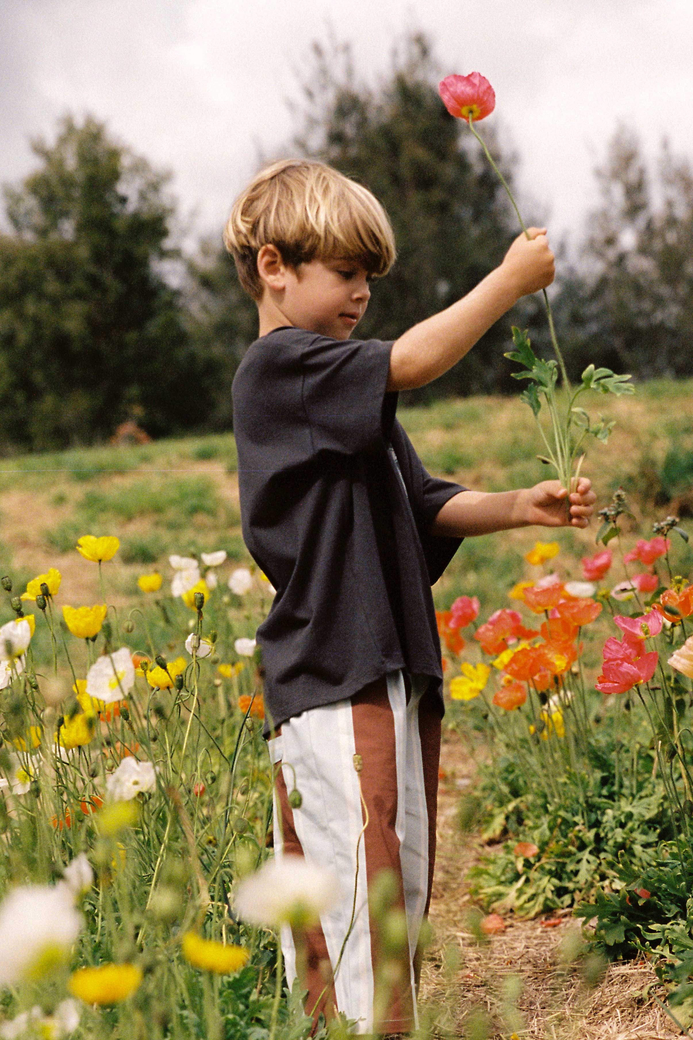 A young child with short blonde hair, adorned in a dark oversized T-shirt and JUNI JUNIOR's Lenny Pant Watson Stripe—light-colored pants with an elastic waistband—stands in a colorful field of poppies, holding a single red flower. The background is lush and green with trees under a cloudy sky.