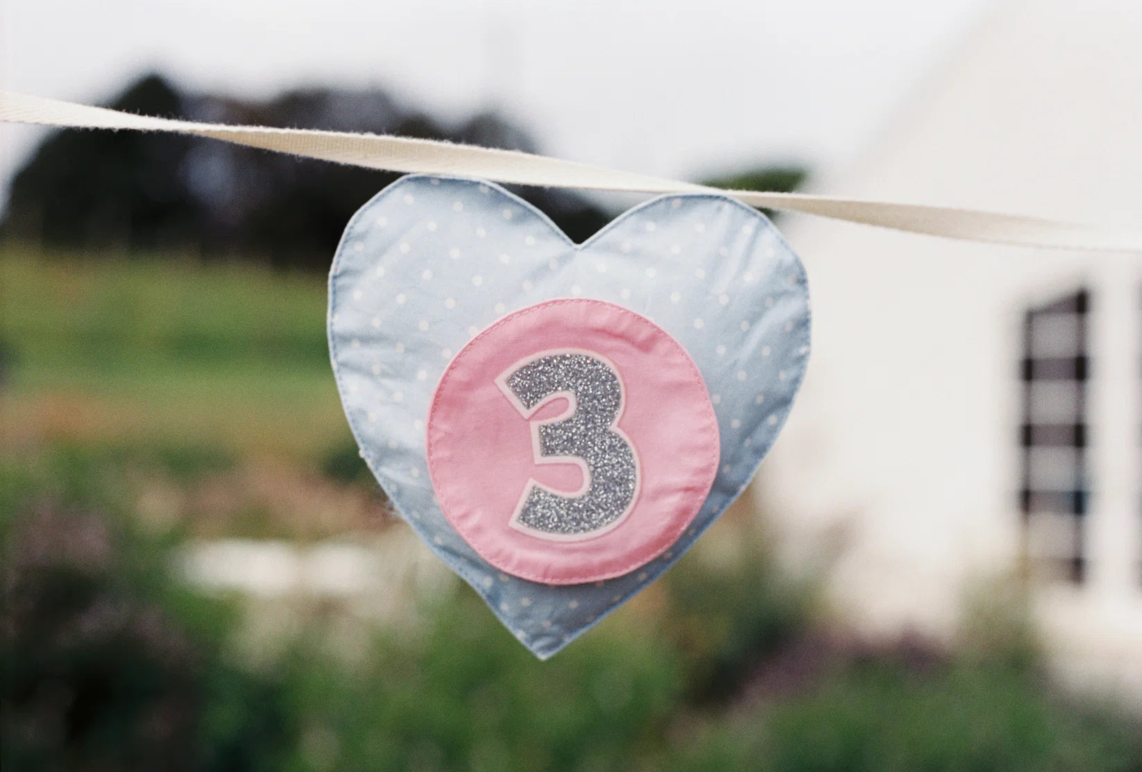 The Wholesome Store - Birthday Banner Hearts