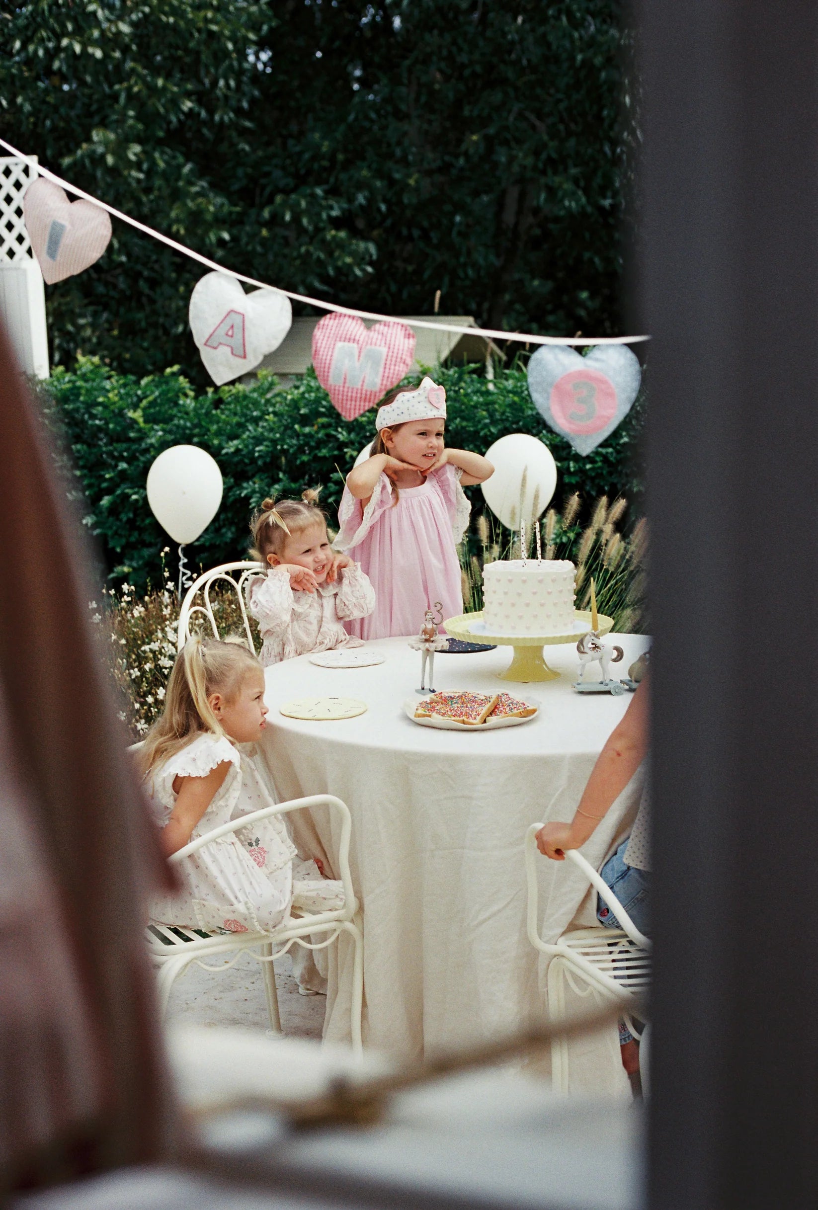 The Wholesome Store - Birthday Banner Hearts