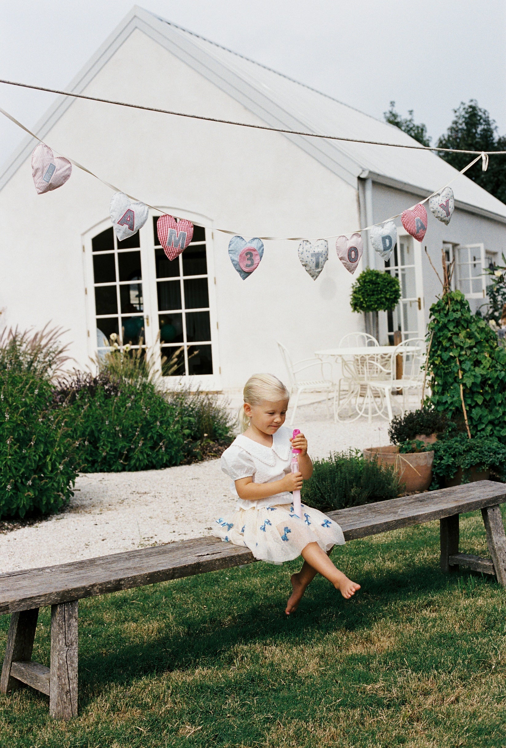 The Wholesome Store - Birthday Banner Hearts