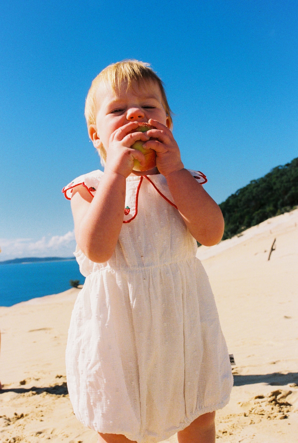 Goldie + Ace - Scallop Collar Strawberry Romper