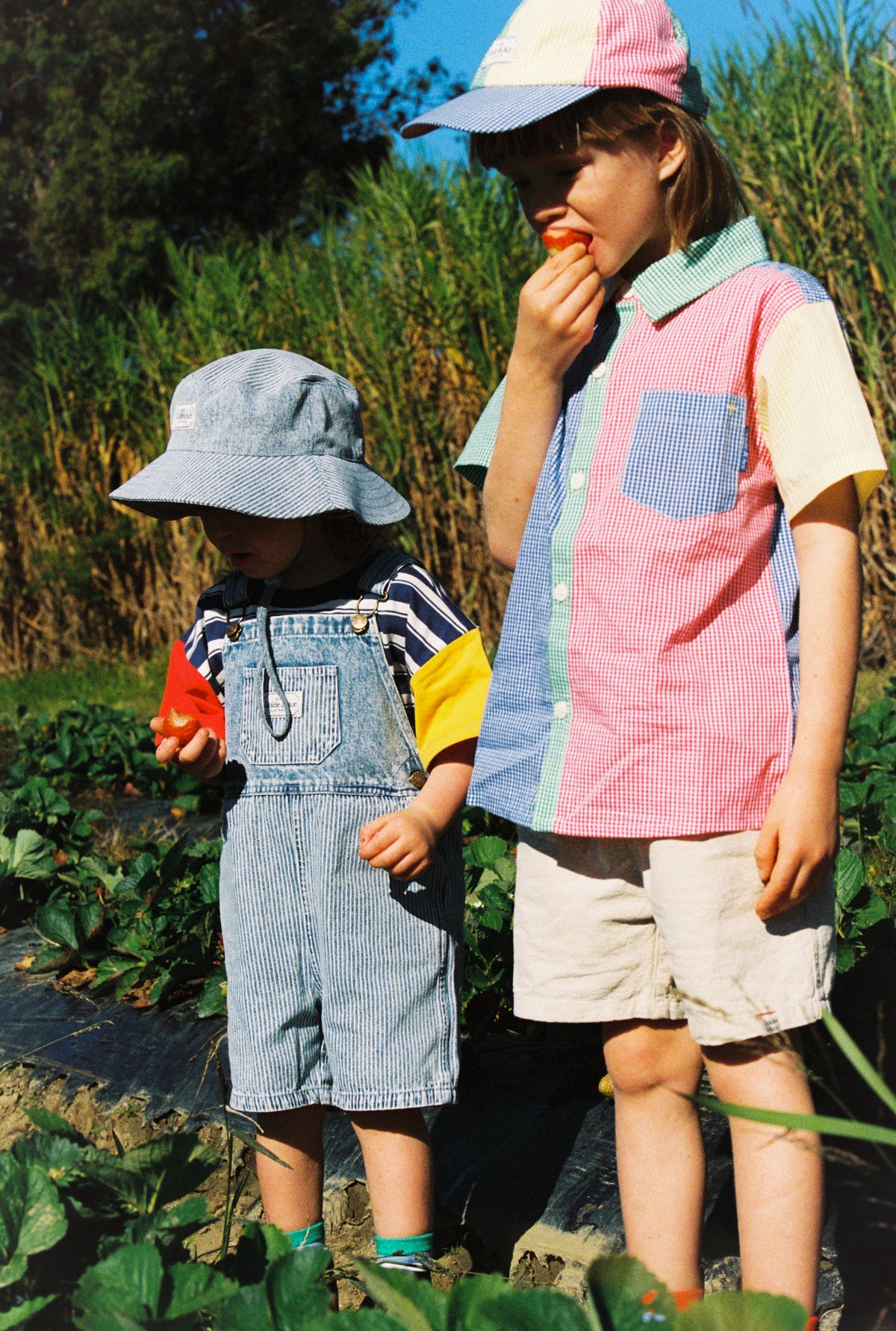 Goldie + Ace - Classic Linen Cotton Shorts