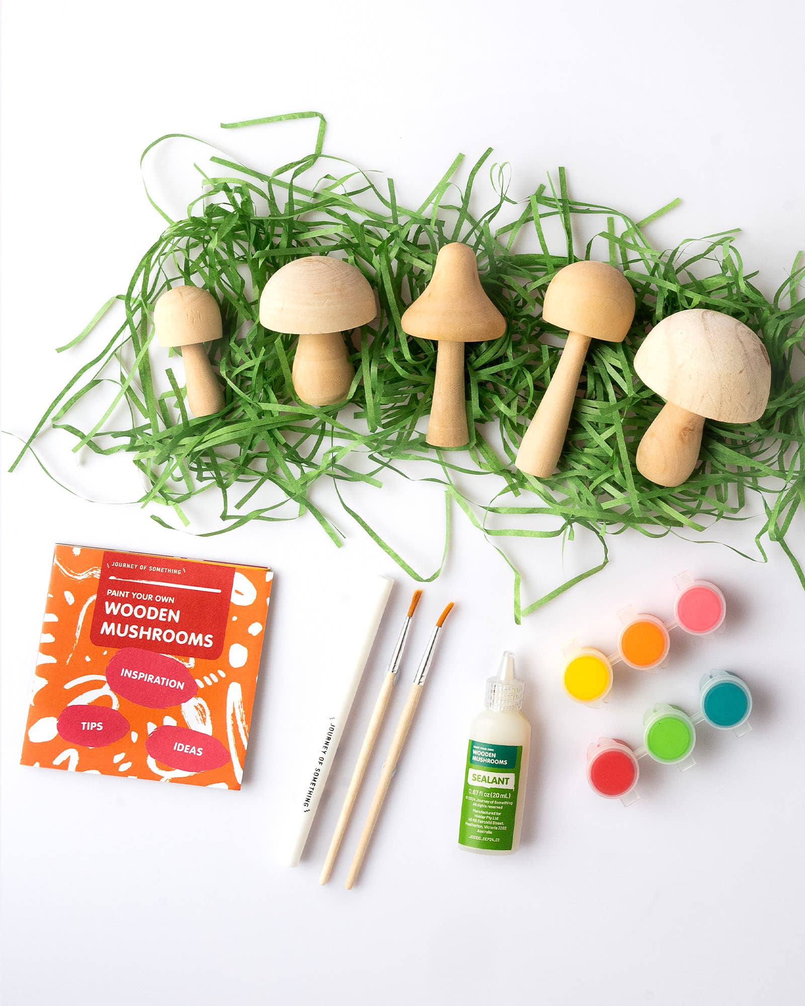 Journey of Something - Paint Your Own Wooden Mushrooms