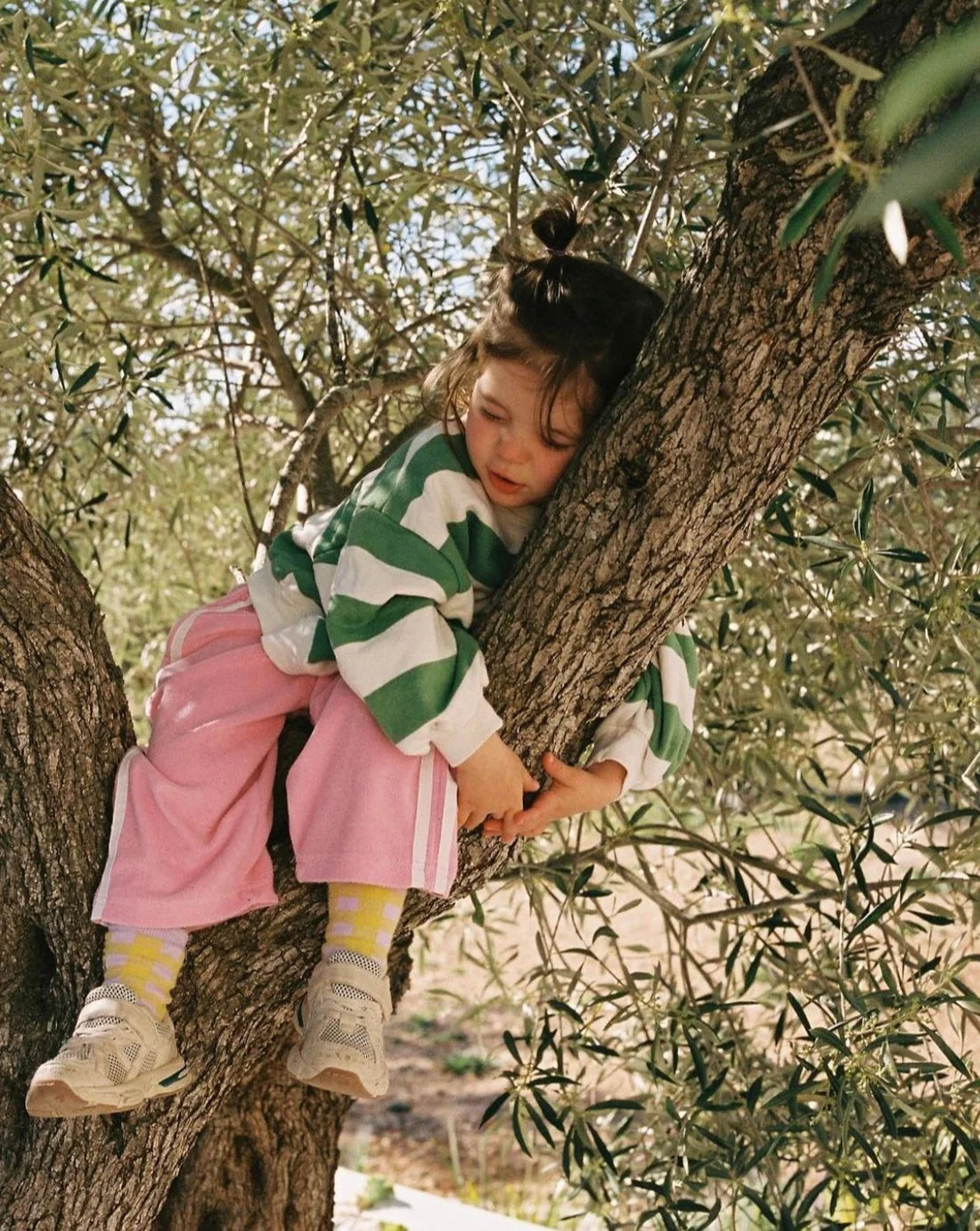 A child in a green and white sweater wearing Ziggy Zaza's Twin Stripe Terry Pant Pink is resting on a tree branch with eyes closed. It's a bright day, and leaves are visible around. Yellow patterned socks and light-colored sneakers complete the look.