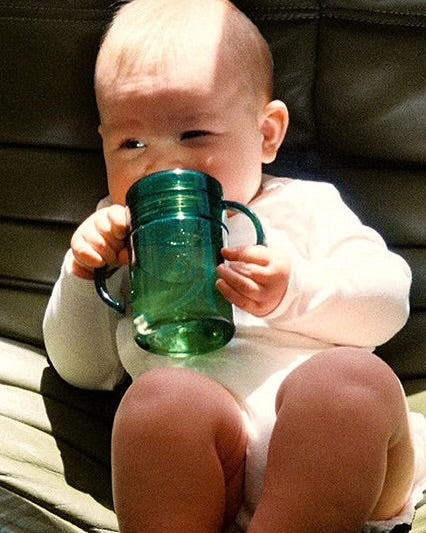 Swiggee - The Sippy Cup Palm