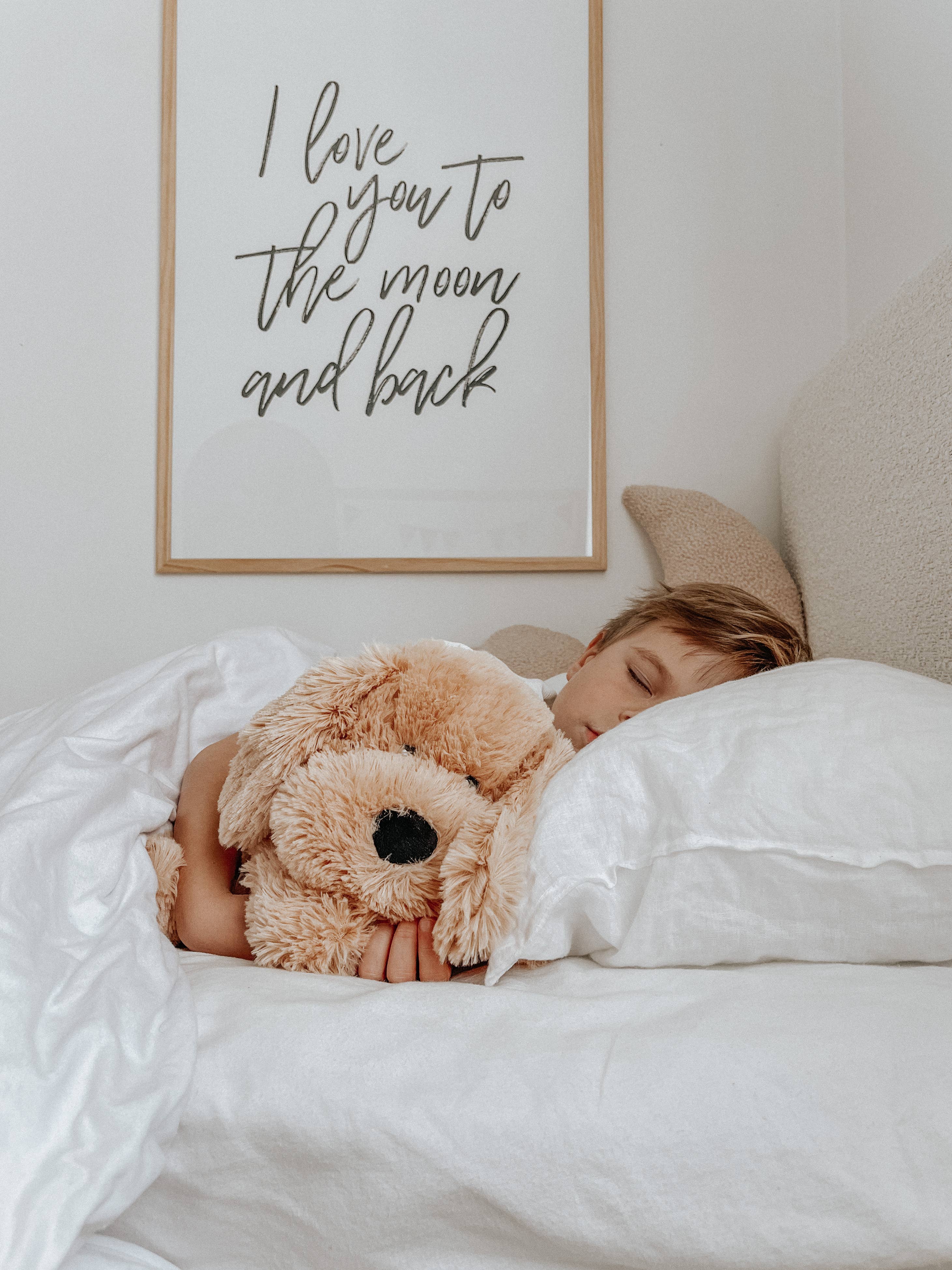 A young boy holding a weighted puppy dog toy in bed.