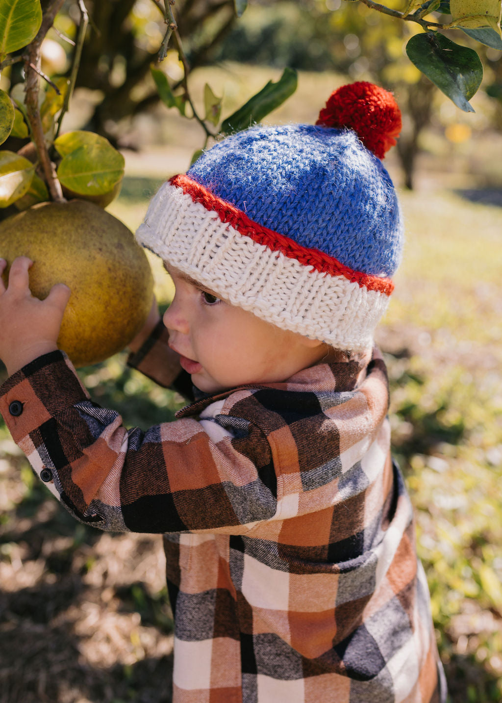 Acorn Kids - Teddy Beanie Blue & Red
