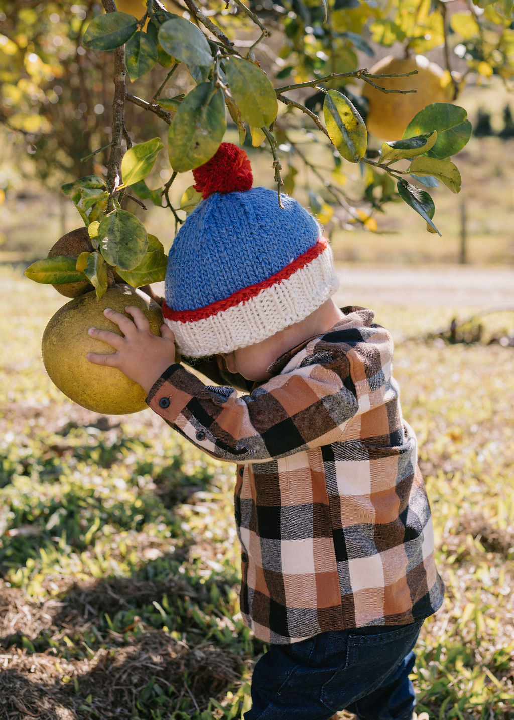 Acorn Kids - Teddy Beanie Blue & Red