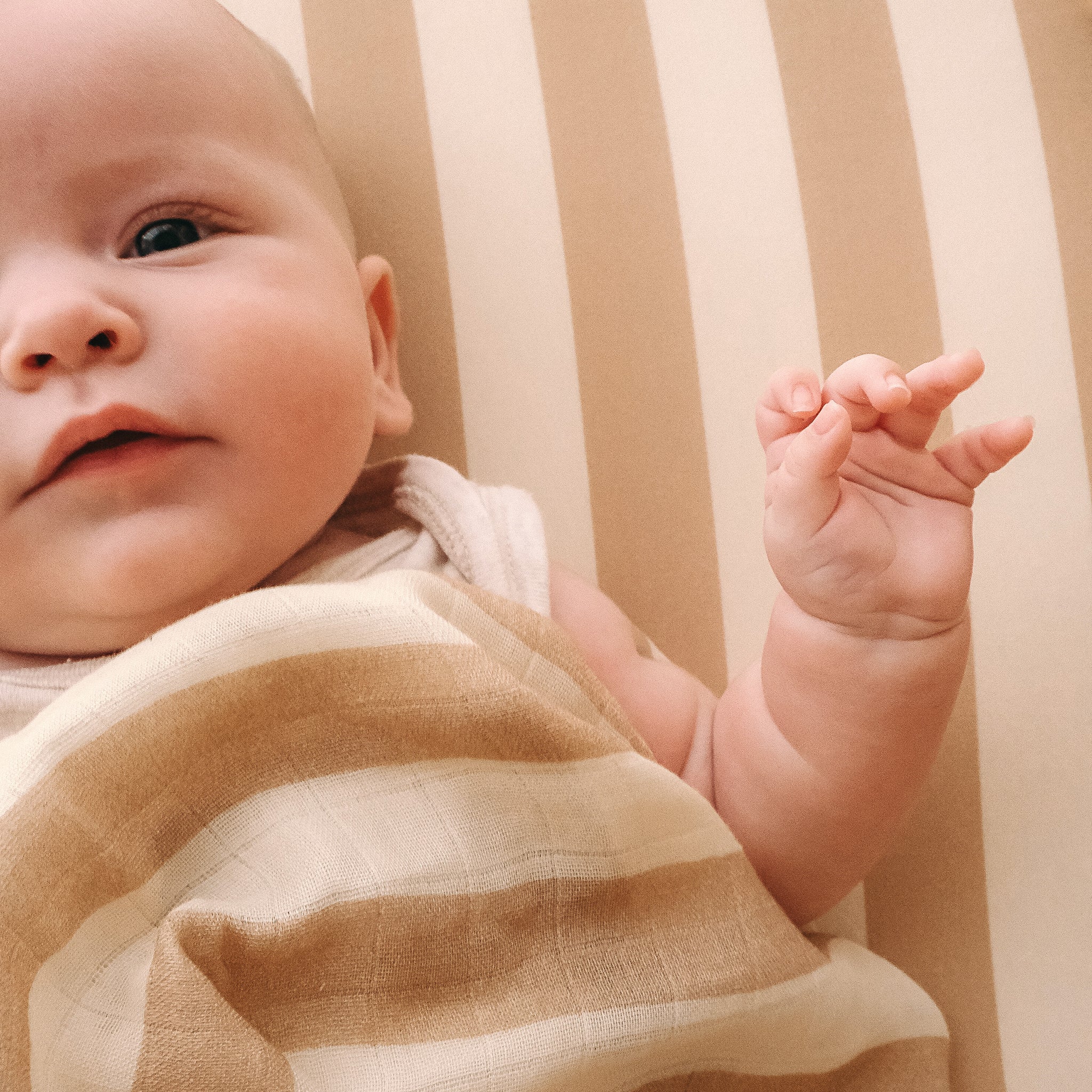 A baby lies on a FOX & FALLOW Coffee Stripe Organic Fitted Bassinet Sheet/Change Pad Cover, wrapped in a matching tan and white striped blanket, looking up with one hand raised.