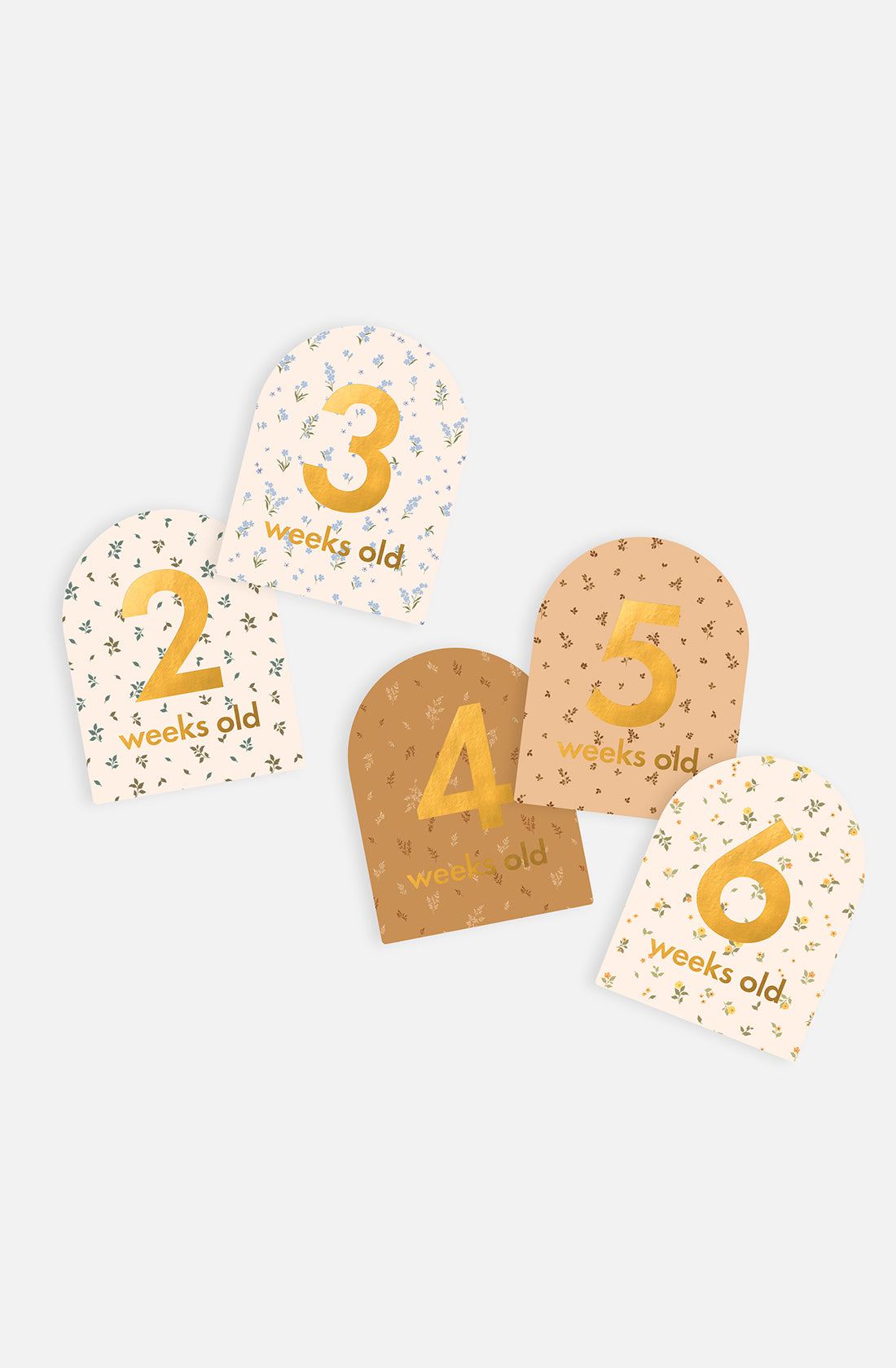 The Baby Milestone Cards Broderie by FOX & FALLOW feature six arch-shaped cards with gold numerical details, marking the ages from 1 to 6 weeks old. Each card showcases a unique colored background adorned with floral patterns, making them perfect for celebrating key milestones and adding a touch of charm to your birth announcement.