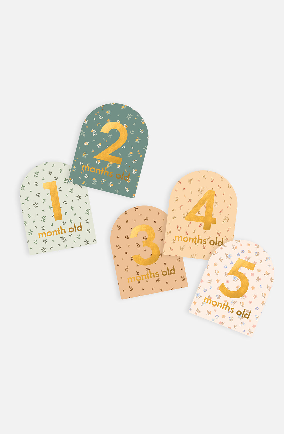 A set of five FOX & FALLOW Baby Milestone Cards Broderie arranged in a semicircle. Each card displays a number from 1 to 5, followed by "months old." The cards are decorated with small floral patterns and come in different colors: light green, dark green, orange, yellow, and white—perfect for celebrating important milestones.