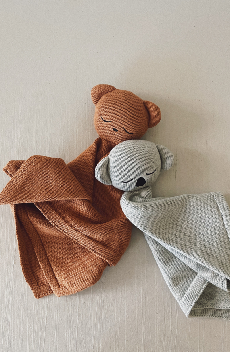 Teddy and koala cuddle blanket laid together on textured background