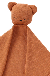 Close up of teddy cuddle blanket's face